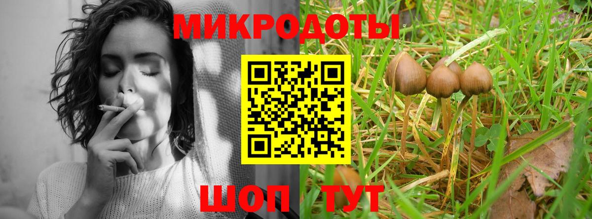 закладка  Вход с VPN  Галлюциногенные грибы прущие грибы  Удомля  Галлюциногенные грибы Psilocybine cubensis 