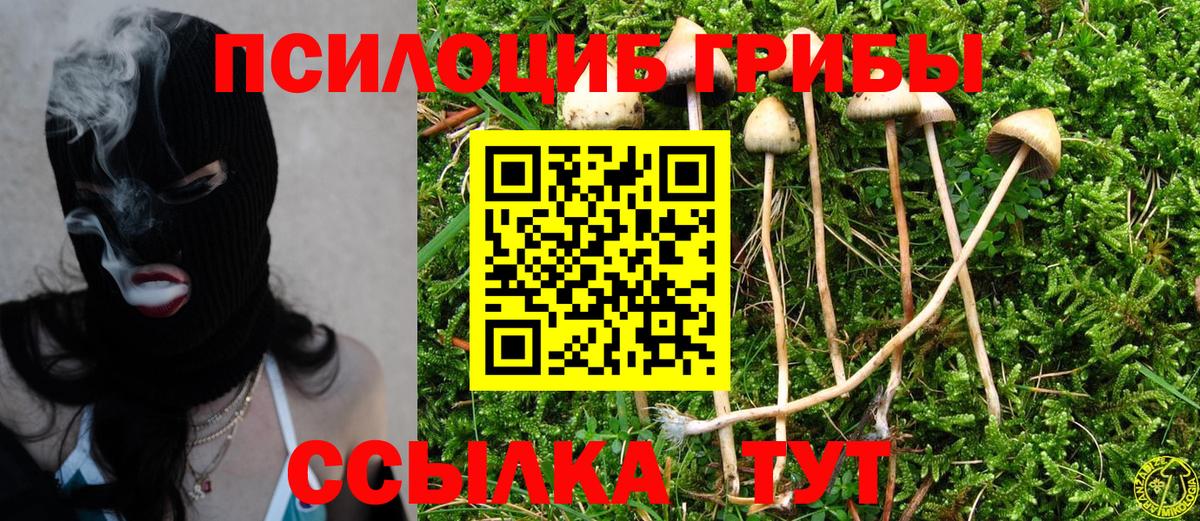 Псилоцибиновые грибы MAGIC MUSHROOMS Удомля